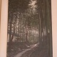 Шелкография «Дорожка в бамбуковом лесу», 1920-е